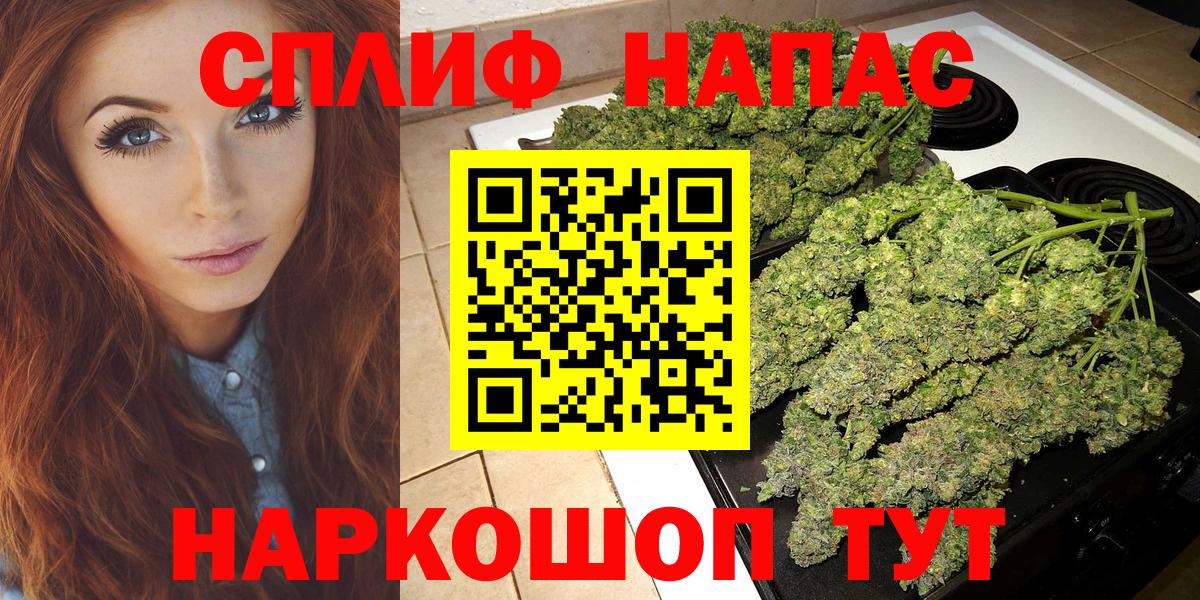 Марихуана сатива  Бошки Шишки планчик  Вход с VPN  Новокубанск  МАРИХУАНА VHQ 